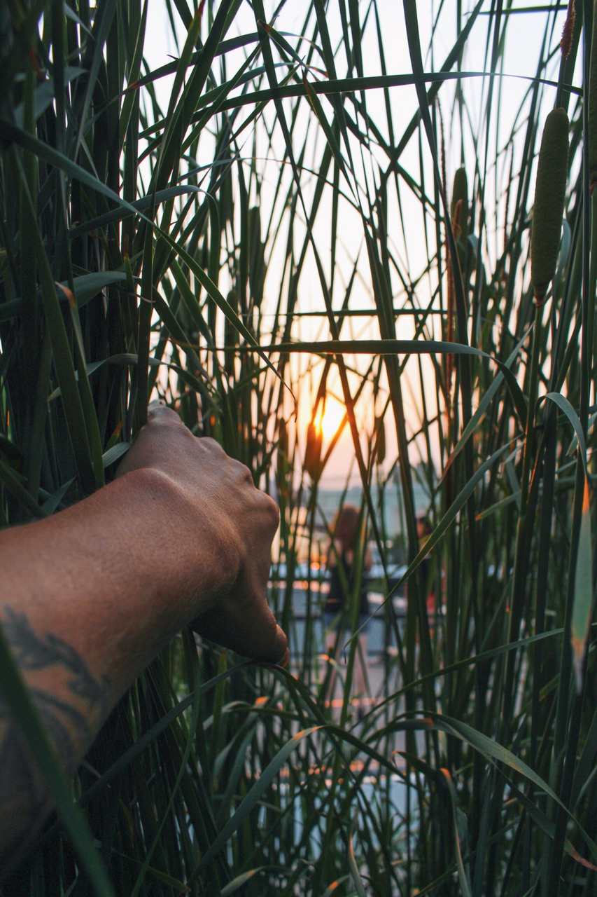 Paisagem, Wallpaper, And Vitor Liberato Image - Vitor Liberato - HD Wallpaper 