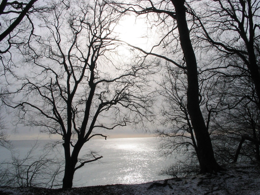 Wallpaper - HD Wallpaper 