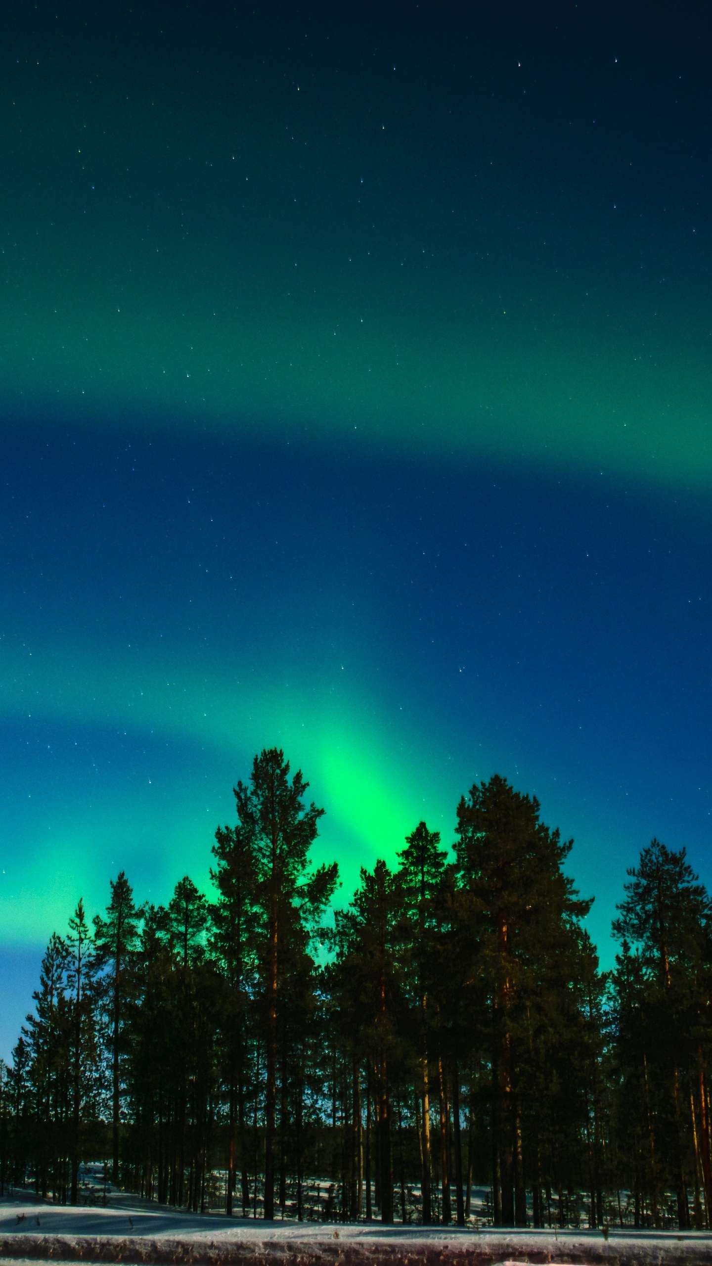 Wallpaper Northern Lights, Aurora, Trees, Light Phenomenon, - Northern Lights Background Trees - HD Wallpaper 