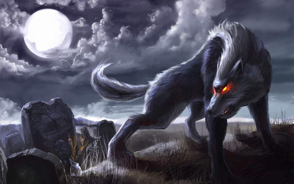 Cool Wolf Wallpapers - Wolf Wallpaper Animated - HD Wallpaper 
