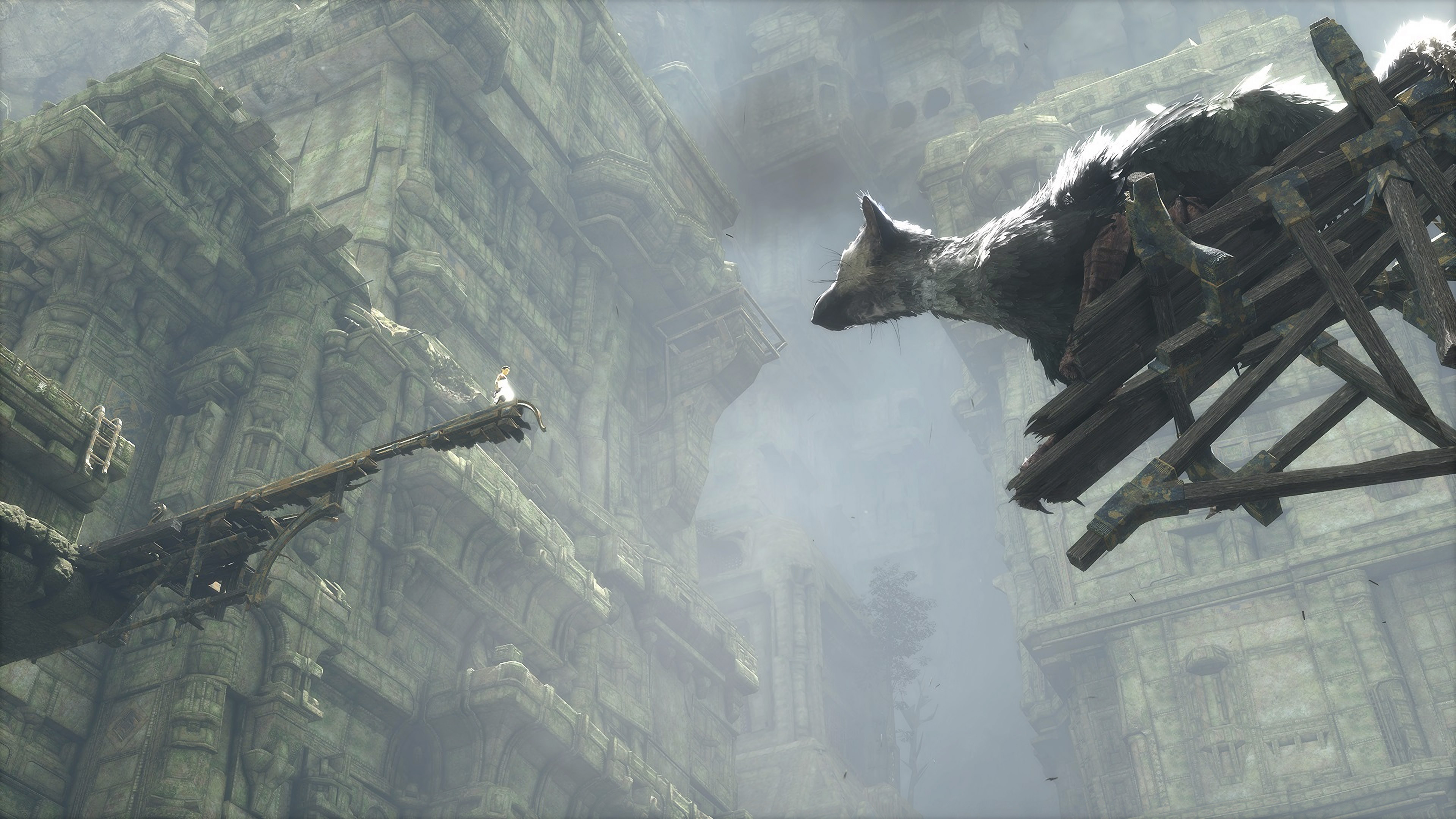 Last Guardian - HD Wallpaper 
