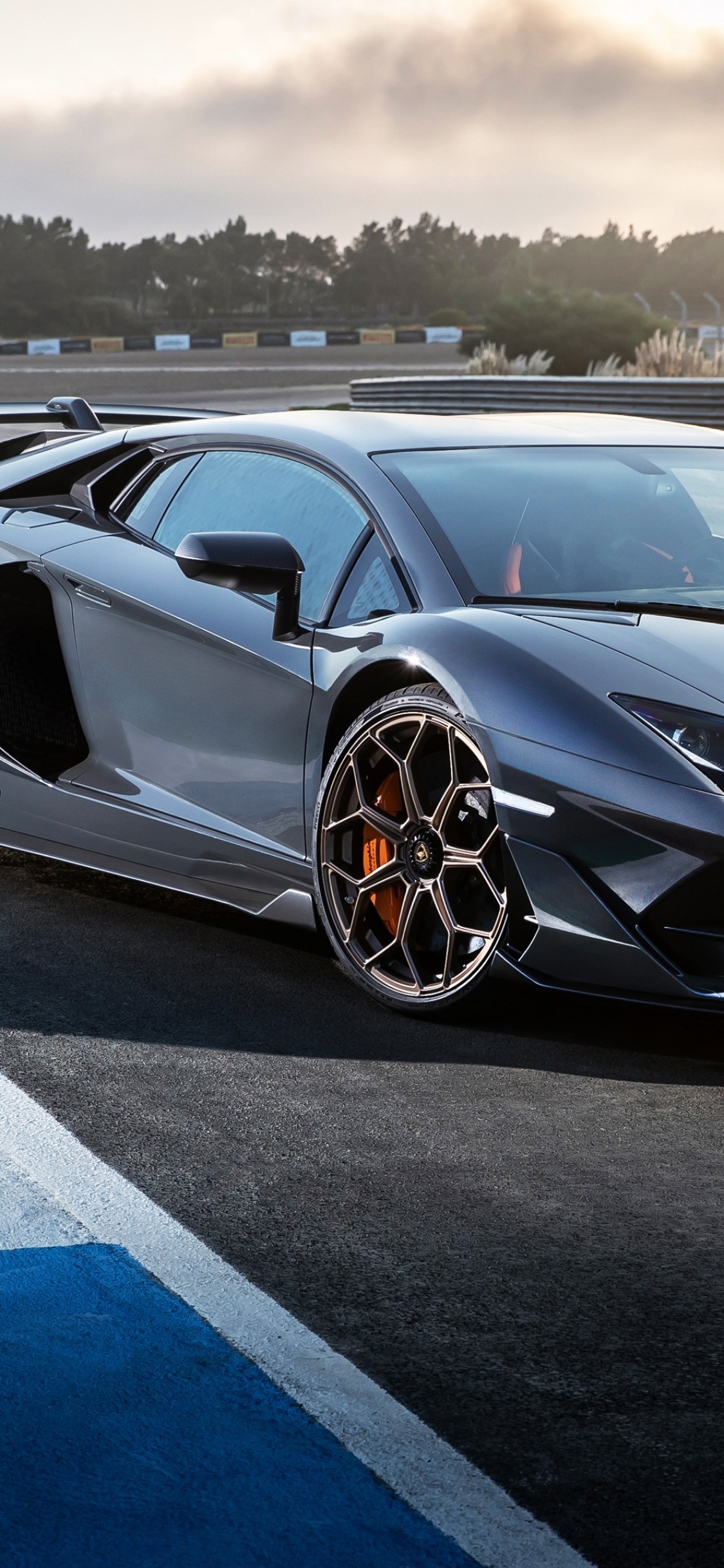 Lamborghini Aventador Svj, Silver - Lamborghini Aventador Svj Grey - HD Wallpaper 