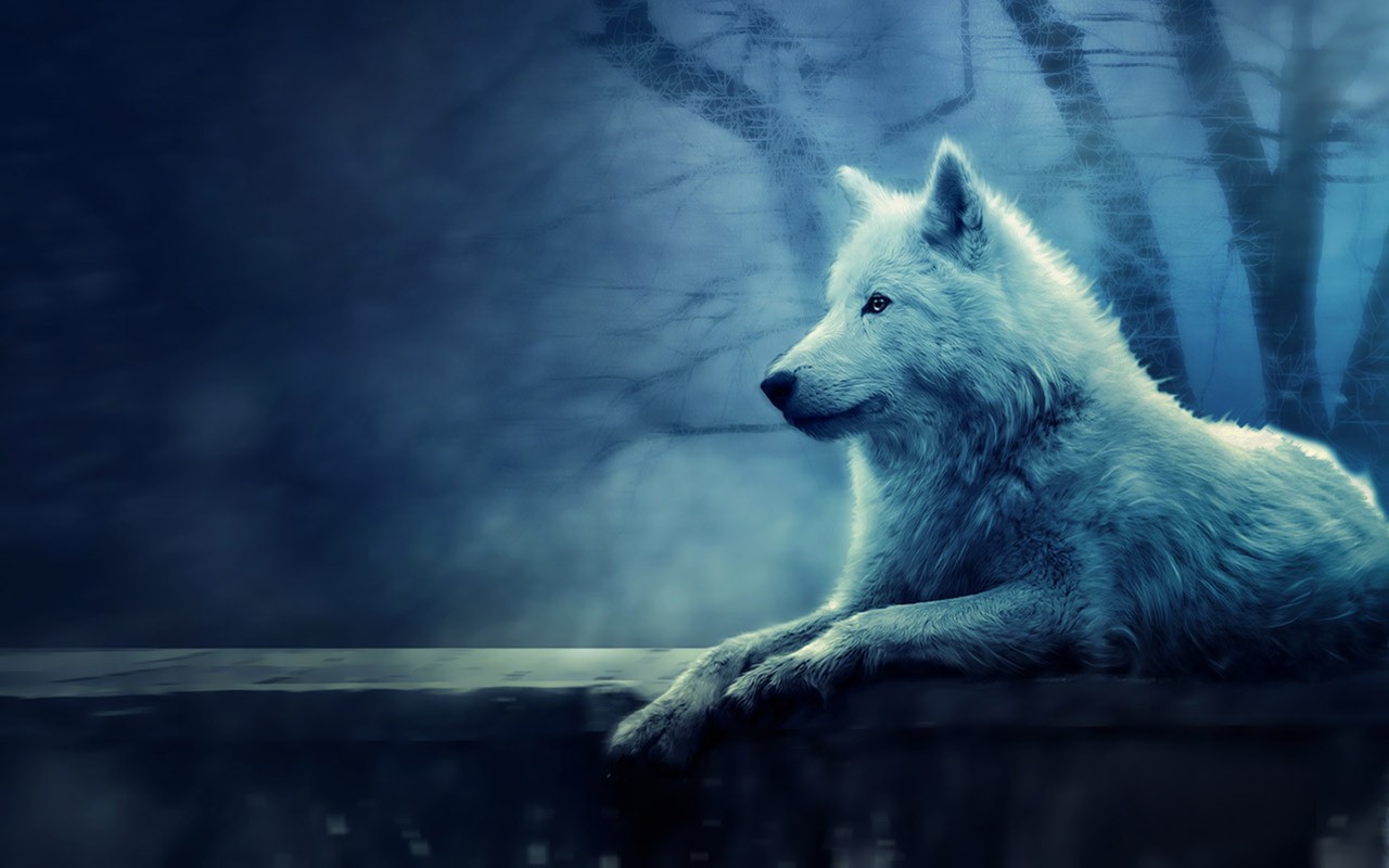 Cool Wolf Wallpapers - Alone Wolf Wallpaper Hd - HD Wallpaper 