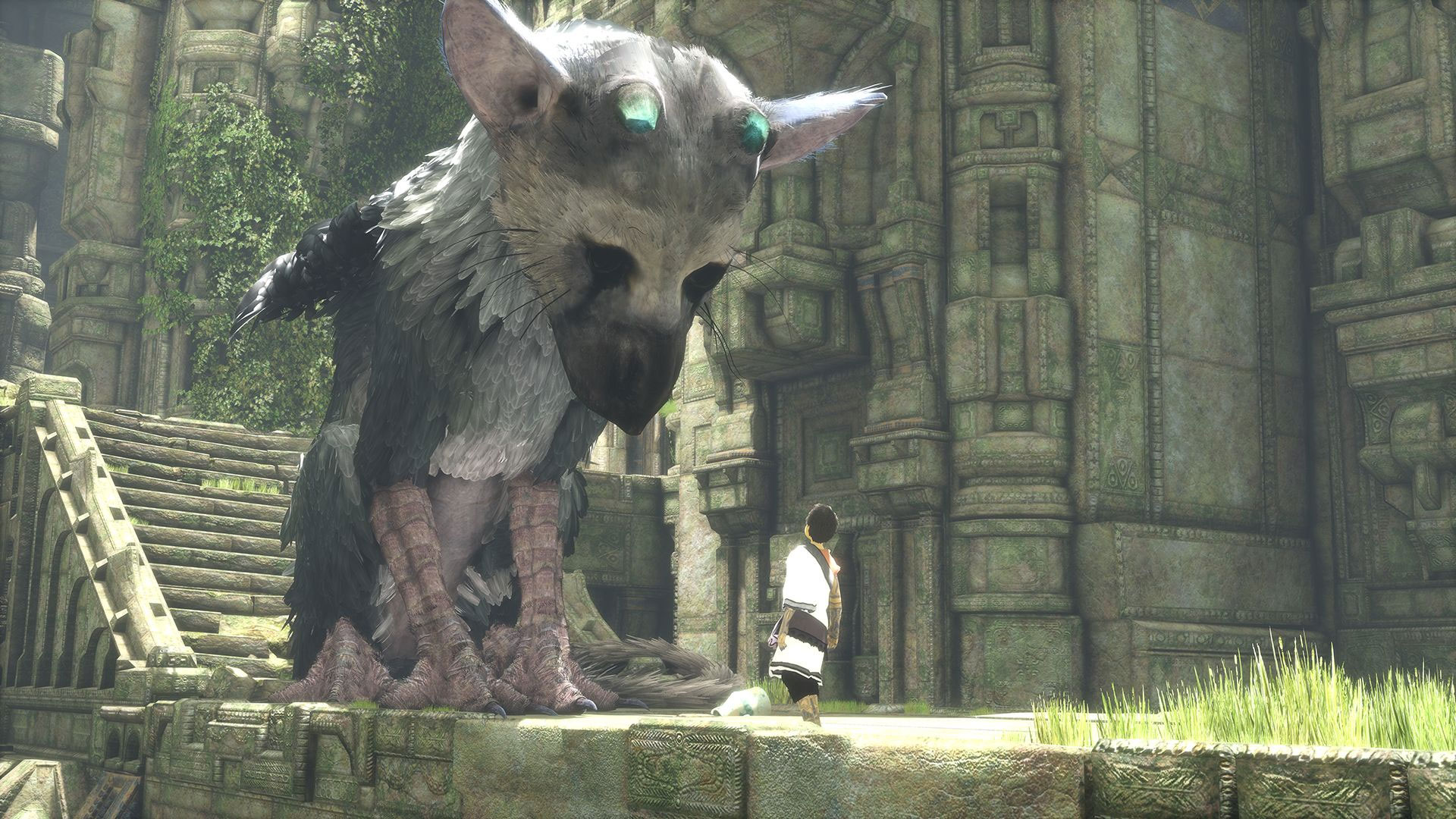 Last Guardian Ps4 - HD Wallpaper 
