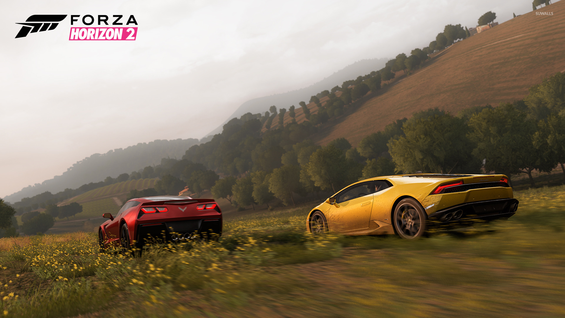 Forza Horizon 2 - HD Wallpaper 