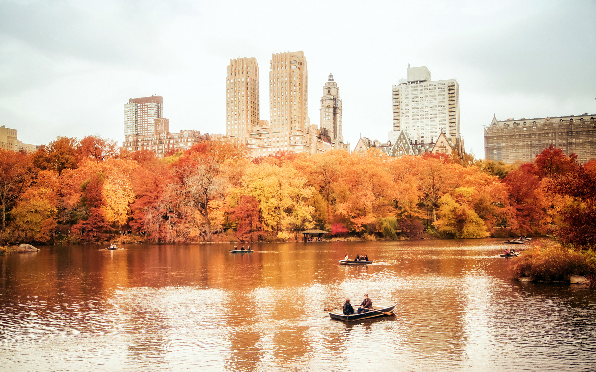 Usa Manhattan Nyc New York City New York Central Park - Autumn In New York Desktop - HD Wallpaper 