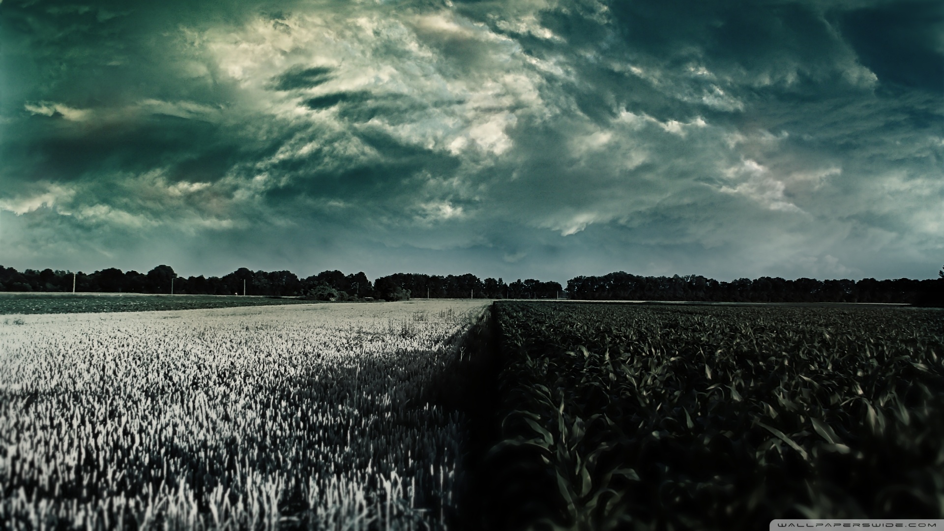 Feeling Alone Wallpaper 1080p On Hd Wallpaper - Lonely Desktop Background - HD Wallpaper 