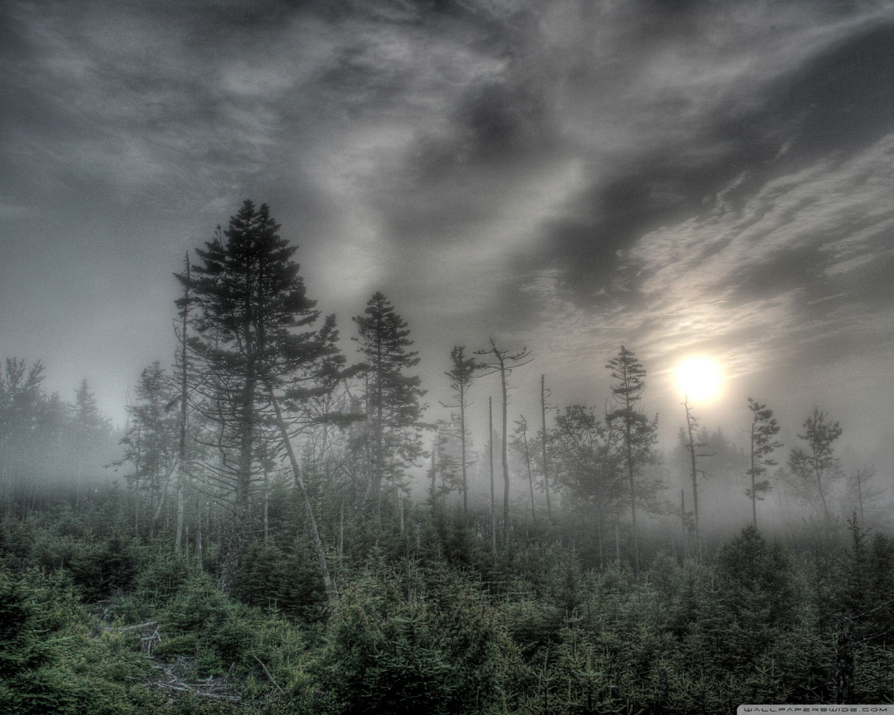 Background Ghost Images Hd - HD Wallpaper 