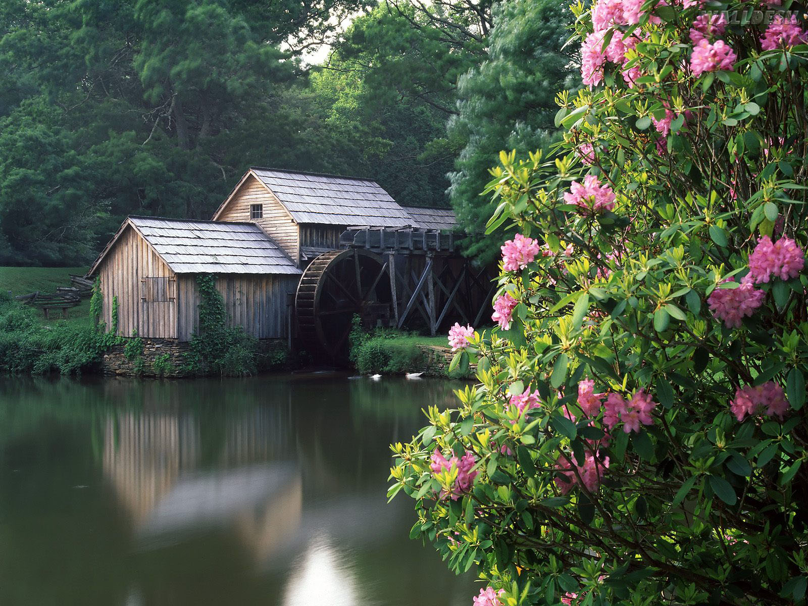 Mabry Mill - HD Wallpaper 