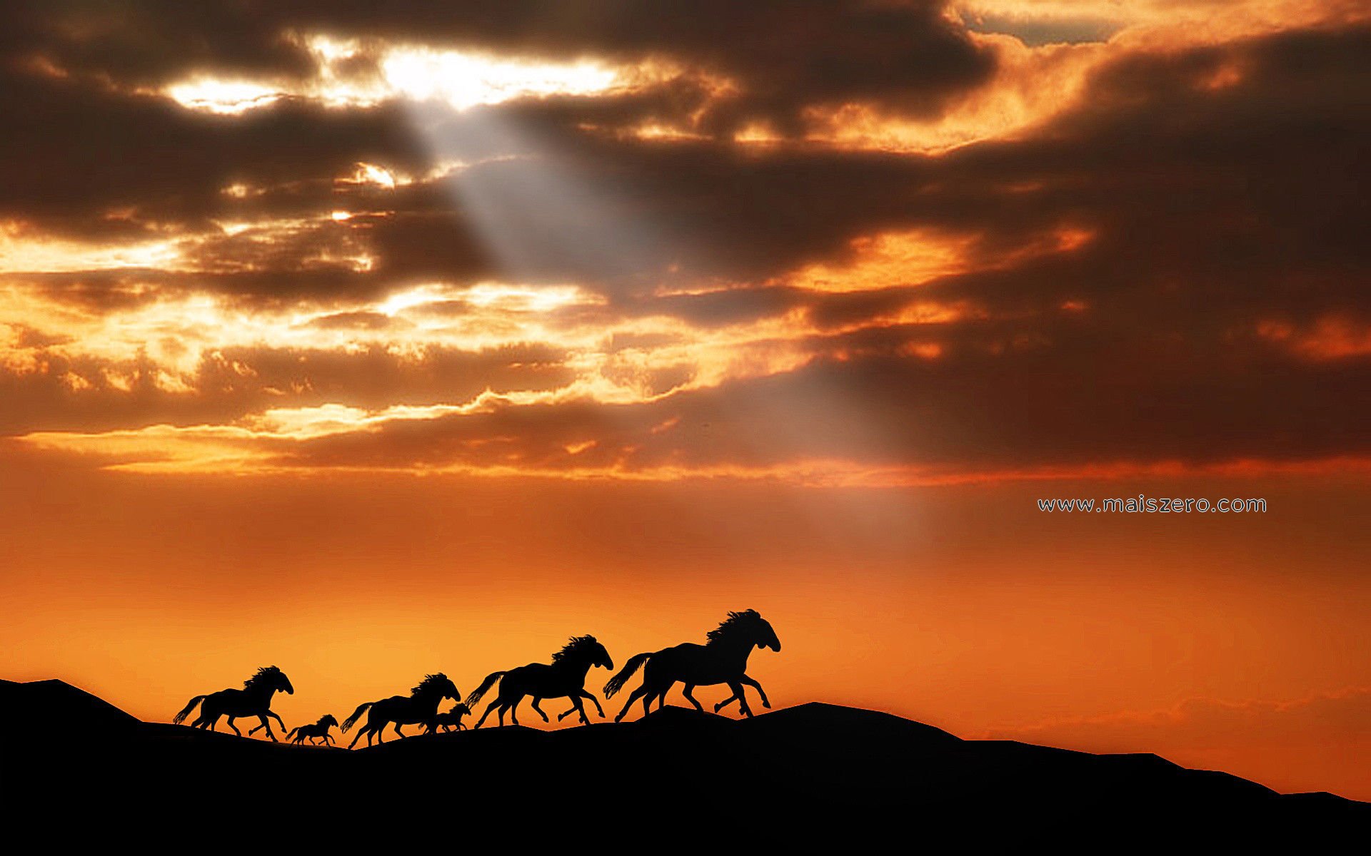 Belos Wallpapers De Paisagem - Wild Horses Running Sunset - HD Wallpaper 