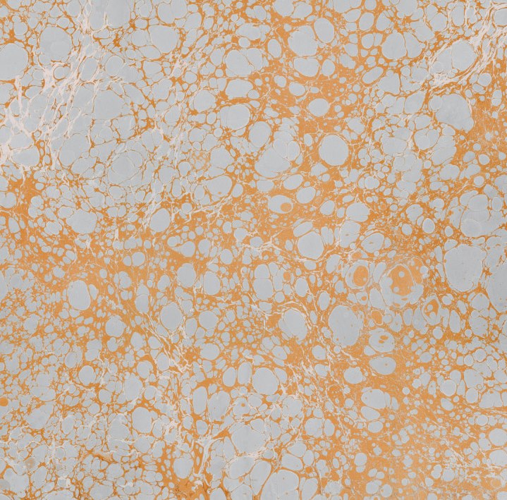 Gold Calico - HD Wallpaper 