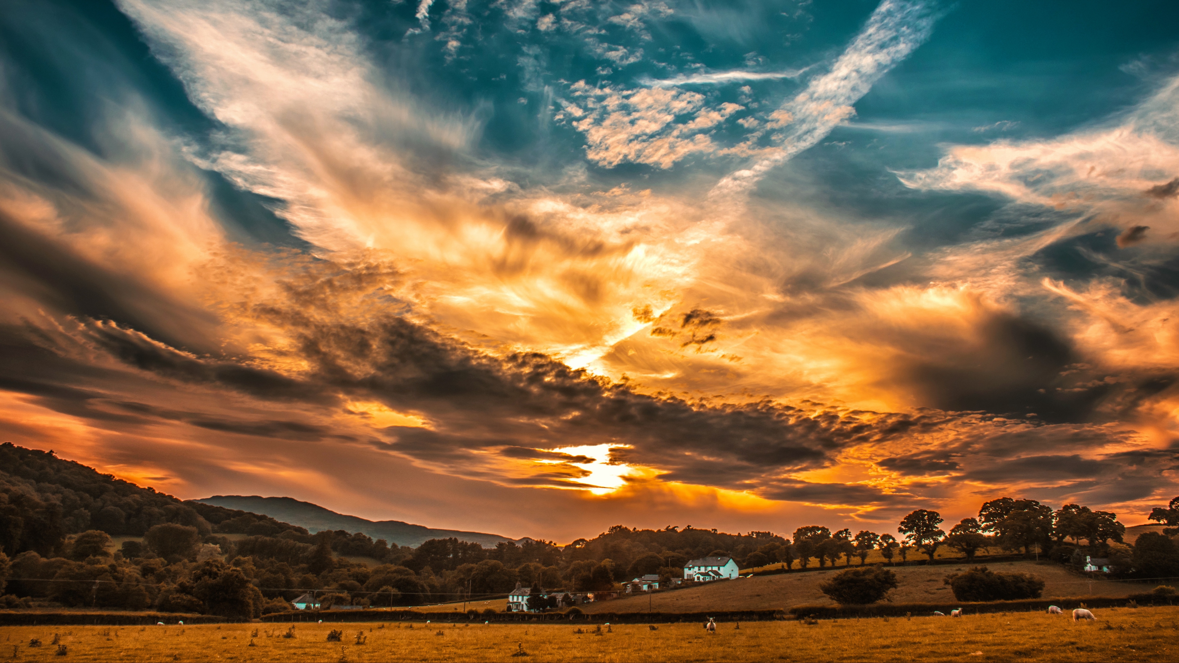 Wallpaper Sunset, Sky, Clouds, Field, Trees, Horizon - Sunset Beautiful Sky Background - HD Wallpaper 