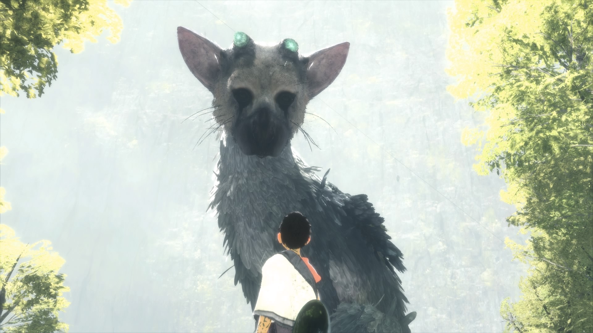 The Last Guardian Ps3 S Trico Had More Motion Patterns - Last Guardian Wallpaper Phone - HD Wallpaper 