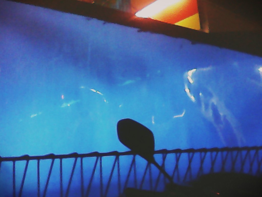 Architecture - HD Wallpaper 