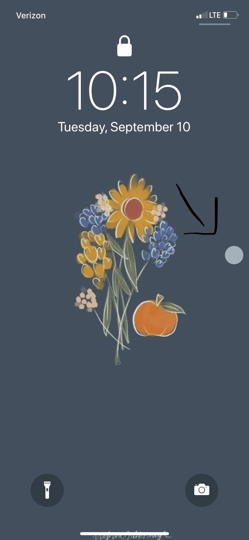 Narcissus - HD Wallpaper 