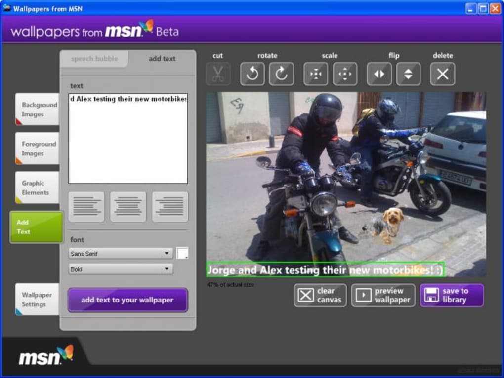 Wallpapers From Msn - Msn - HD Wallpaper 