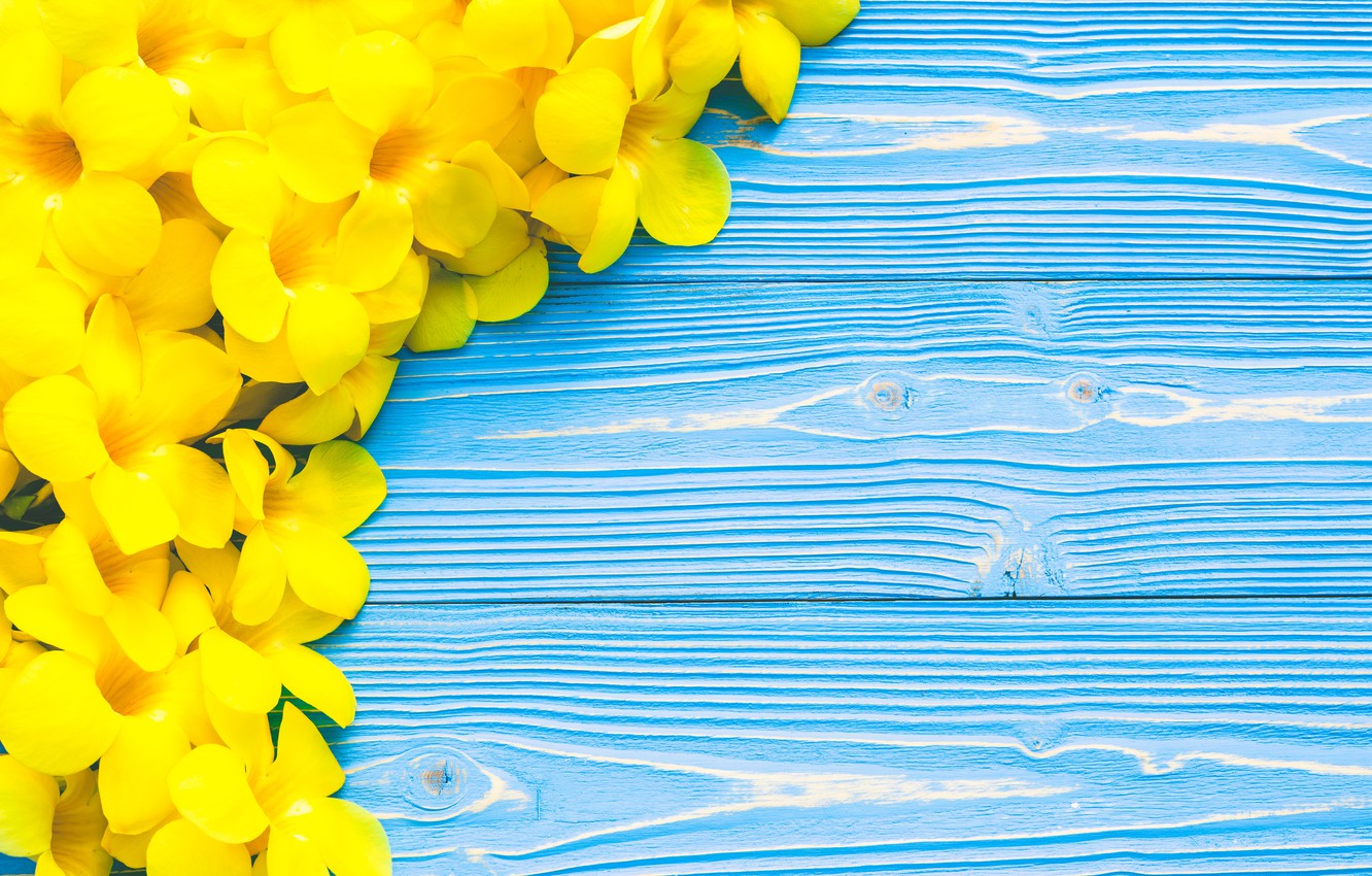 Photo Wallpaper Flowers, Yellow, Yellow, Wood, Blue, - Tropical Flowers Yellow And Blue - HD Wallpaper 