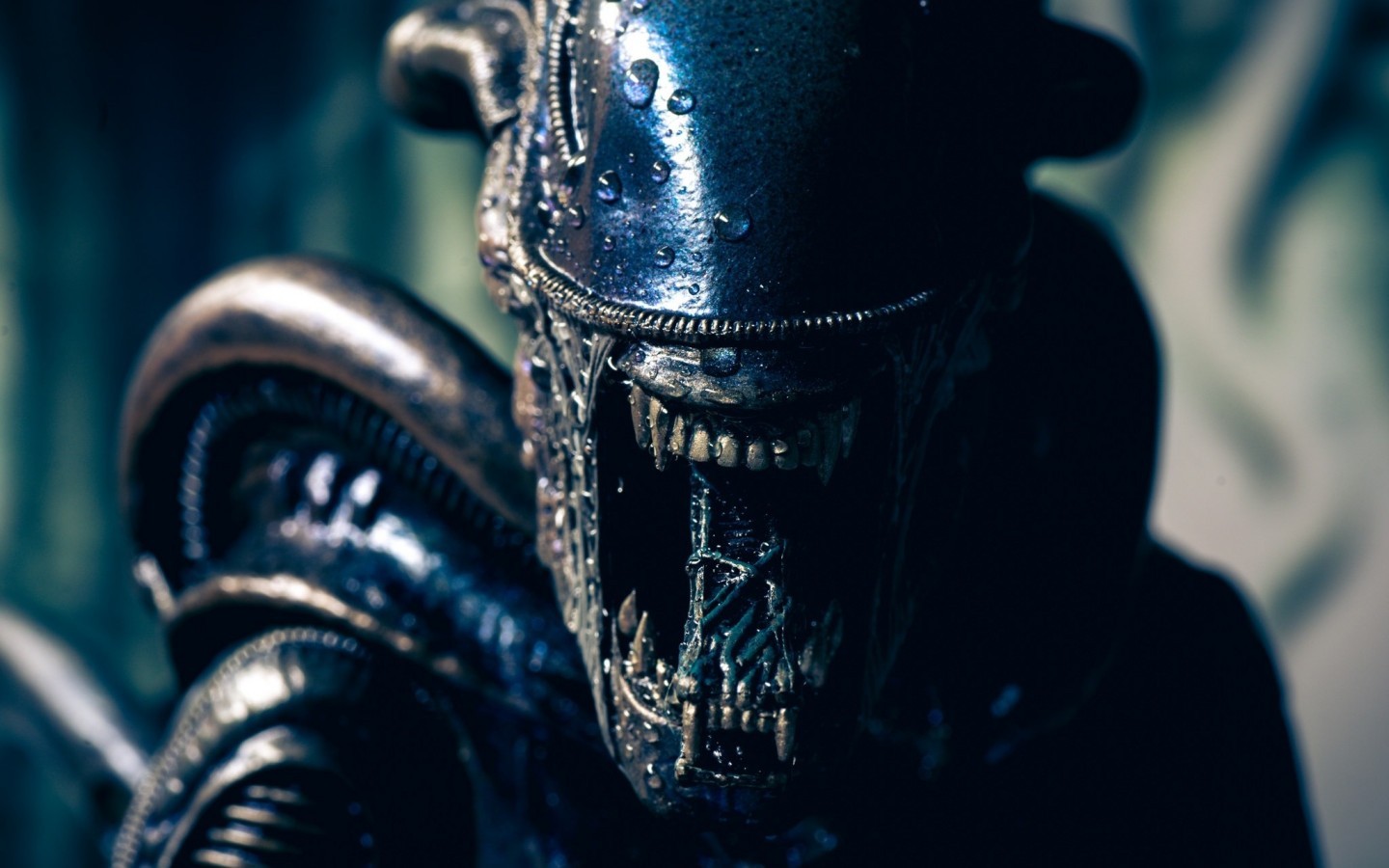 Xenomorph, Figure, Creepy, Alien Vs Predator - Xenomorph Alien Vs Predator - HD Wallpaper 