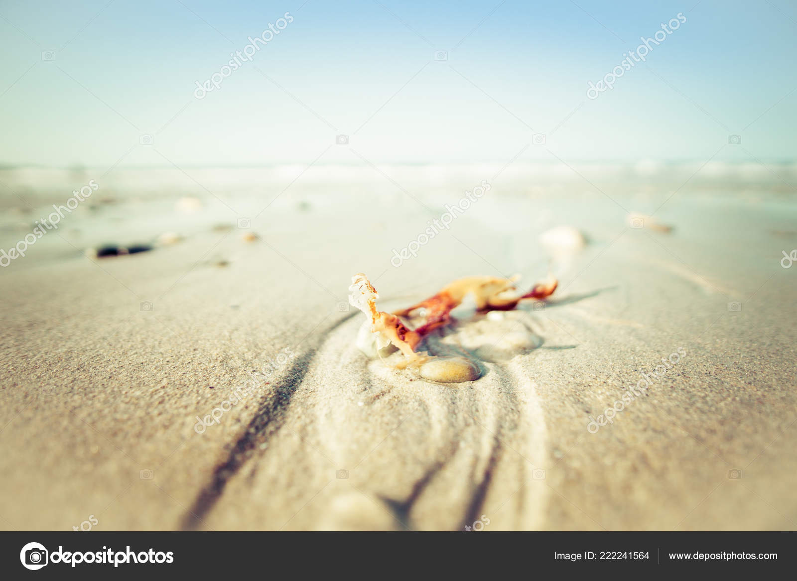 Photograph - HD Wallpaper 