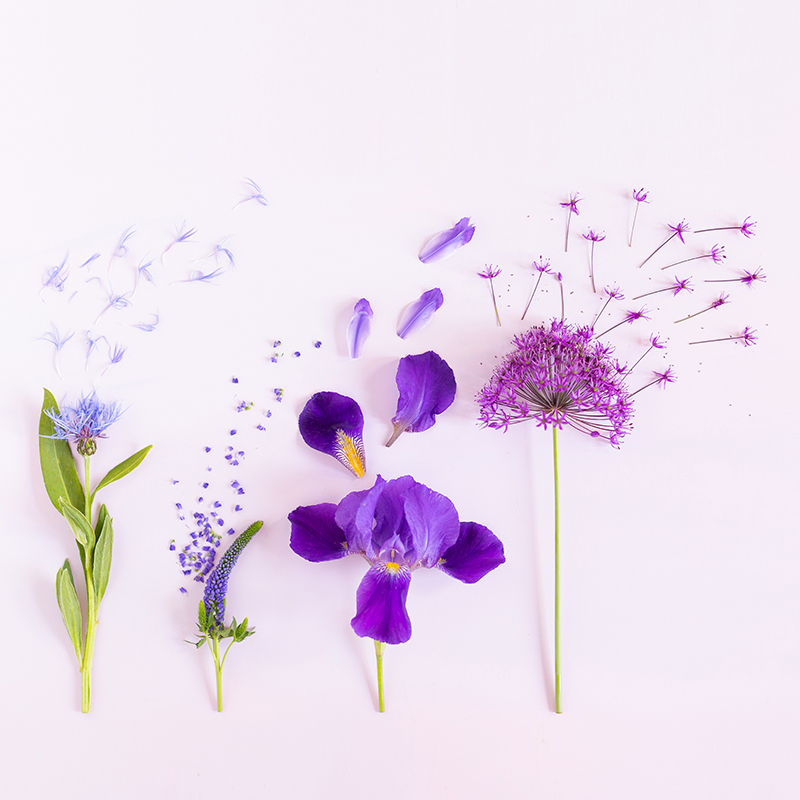 Digital Bloom - HD Wallpaper 