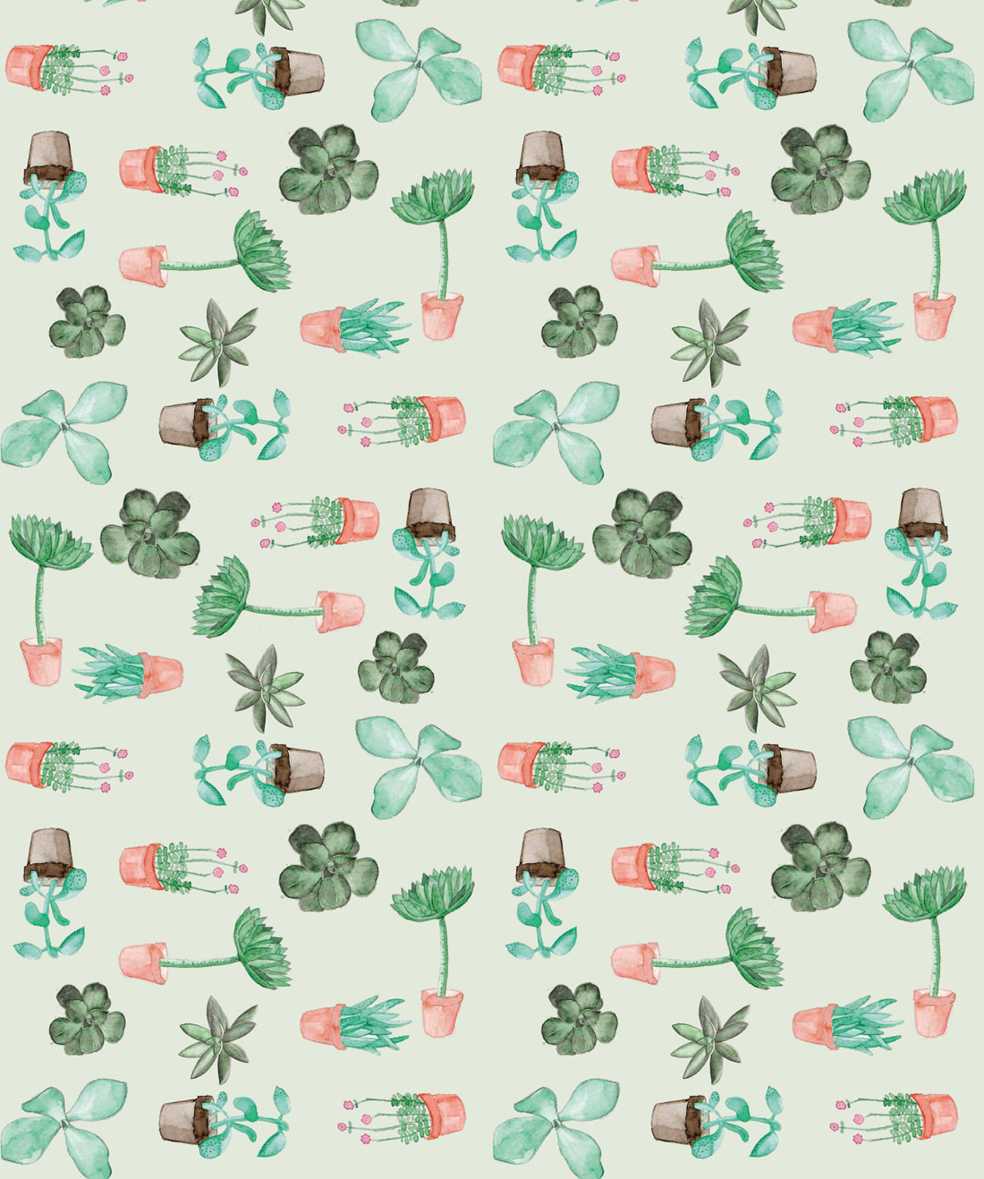 Succulent Wall Paper - HD Wallpaper 