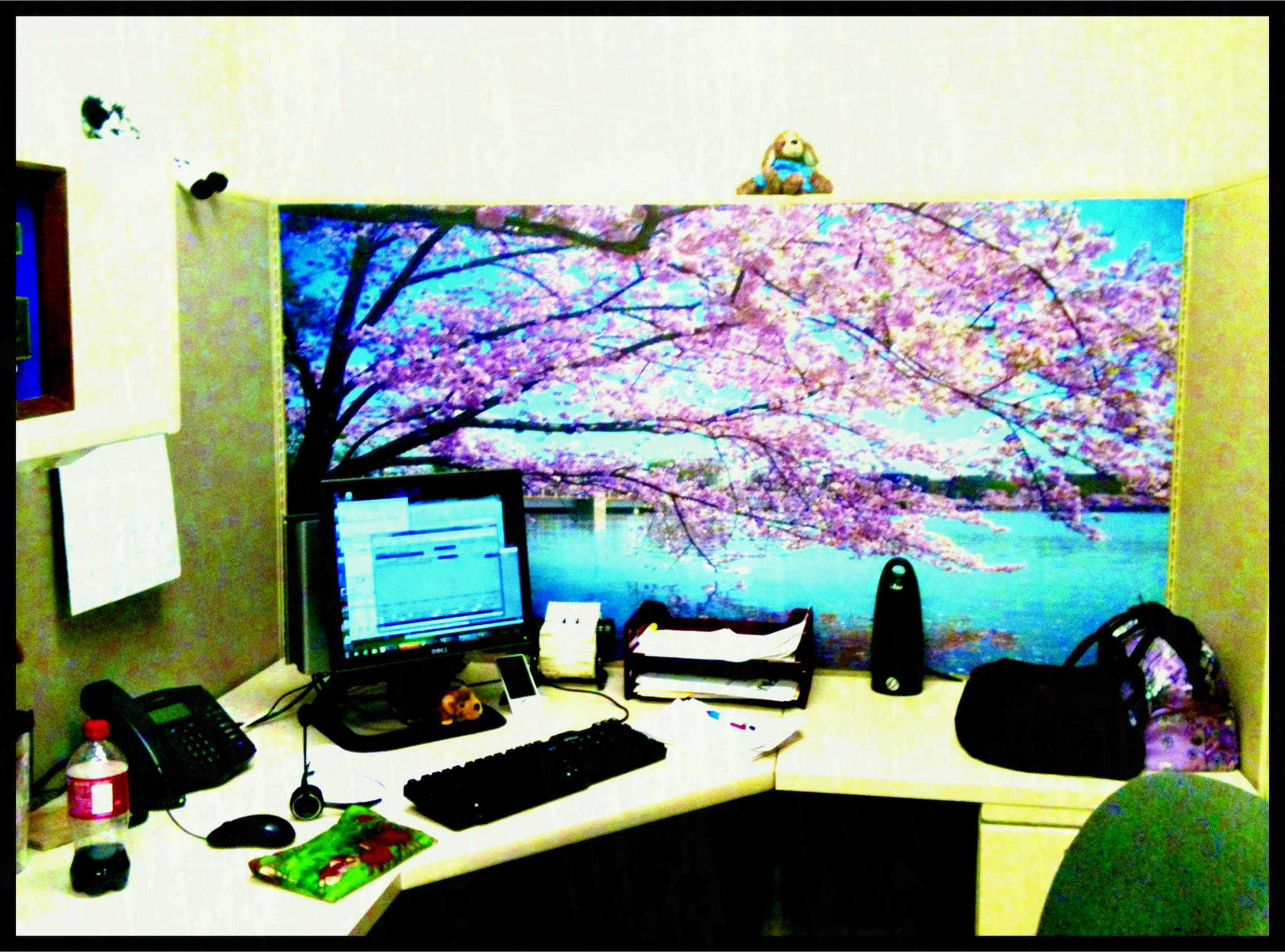 Decoration Cubicle - HD Wallpaper 