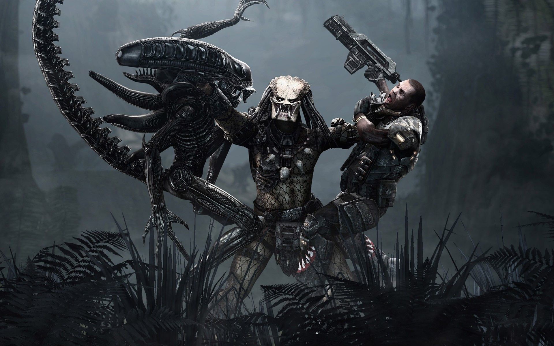 Alien Vs Predator Wallpapers Wallpaper - Predator Vs Alien - HD Wallpaper 