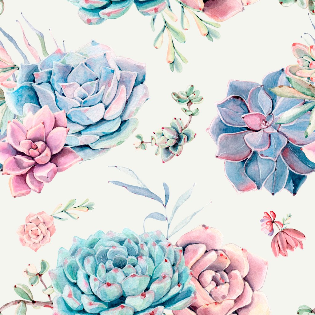 Wallpaper - HD Wallpaper 