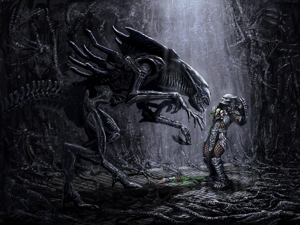 Reina Alien Vs Depredador - HD Wallpaper 
