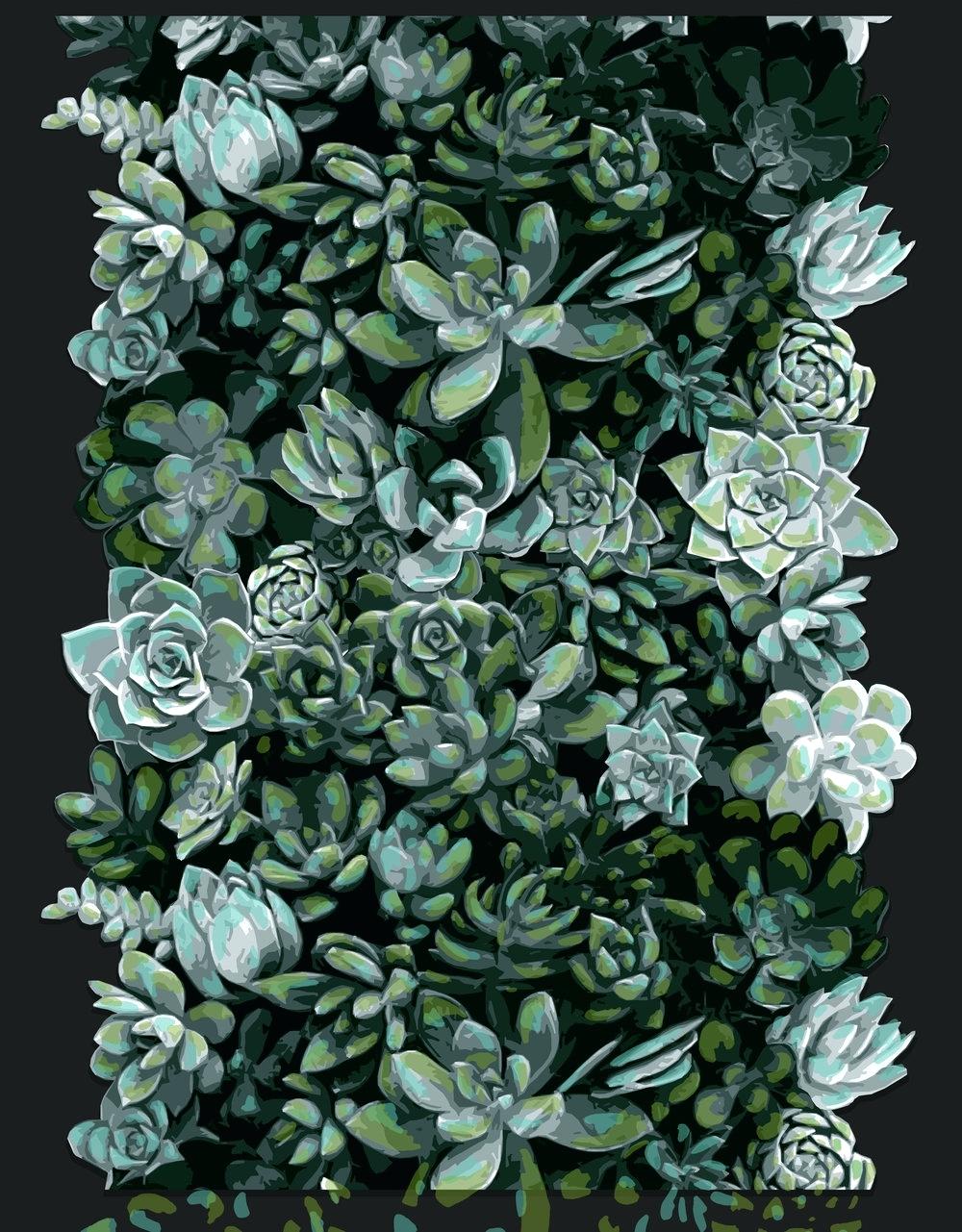 Succulent Phone Wallpapers - Phone Backgrounds Succulents - 1000x1281 Wallpaper Succulent Phone Wallpapers - Phone Backgrounds Succulents - 1000x1281 Wallpaper