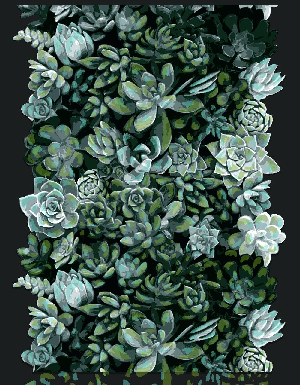 Succulent Phone Wallpapers - Phone Backgrounds Succulents - HD Wallpaper 