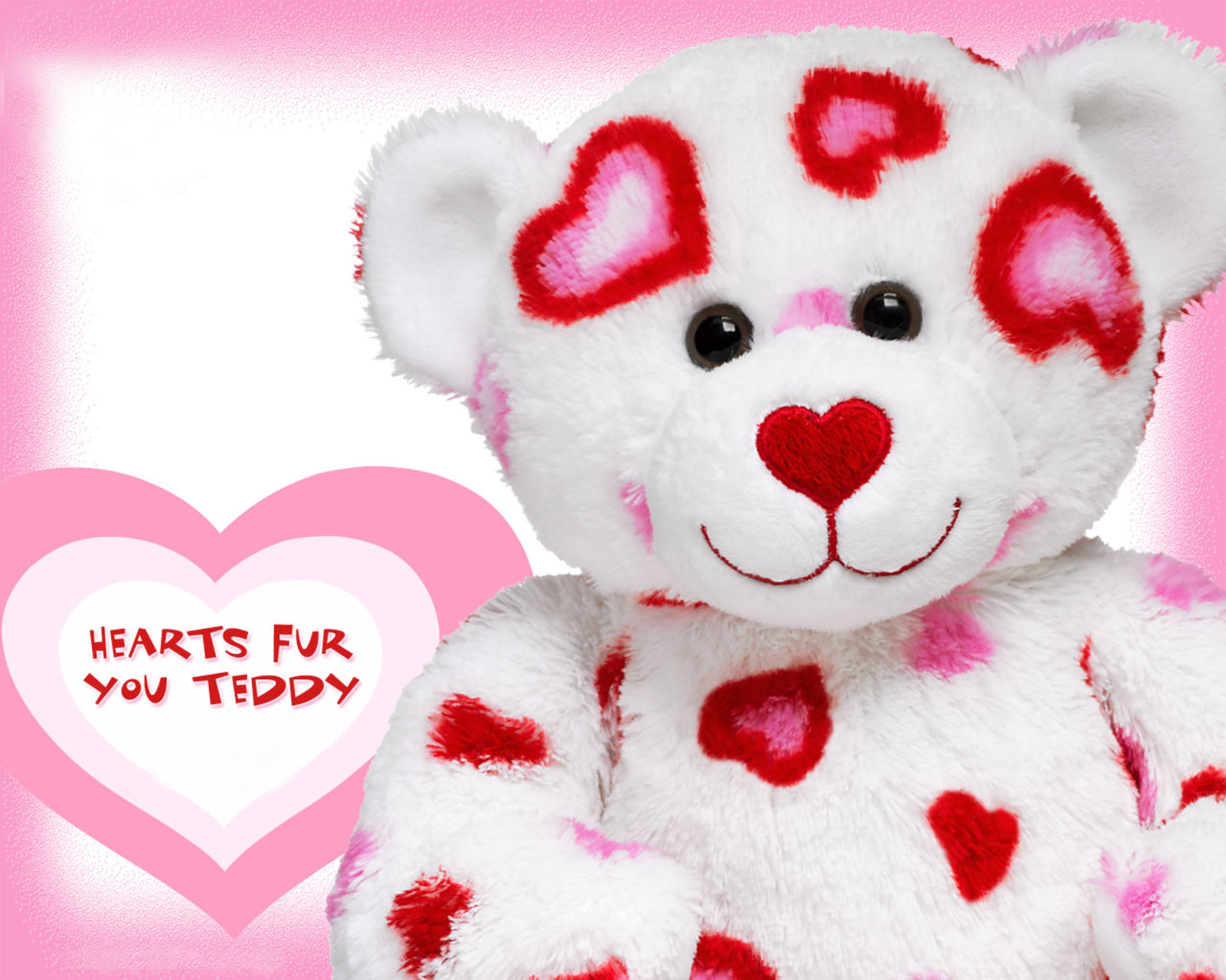 Most Beautiful Teddy Bear Wallpapers - Hd Wallpaper Teddy Bear Hd - HD Wallpaper 