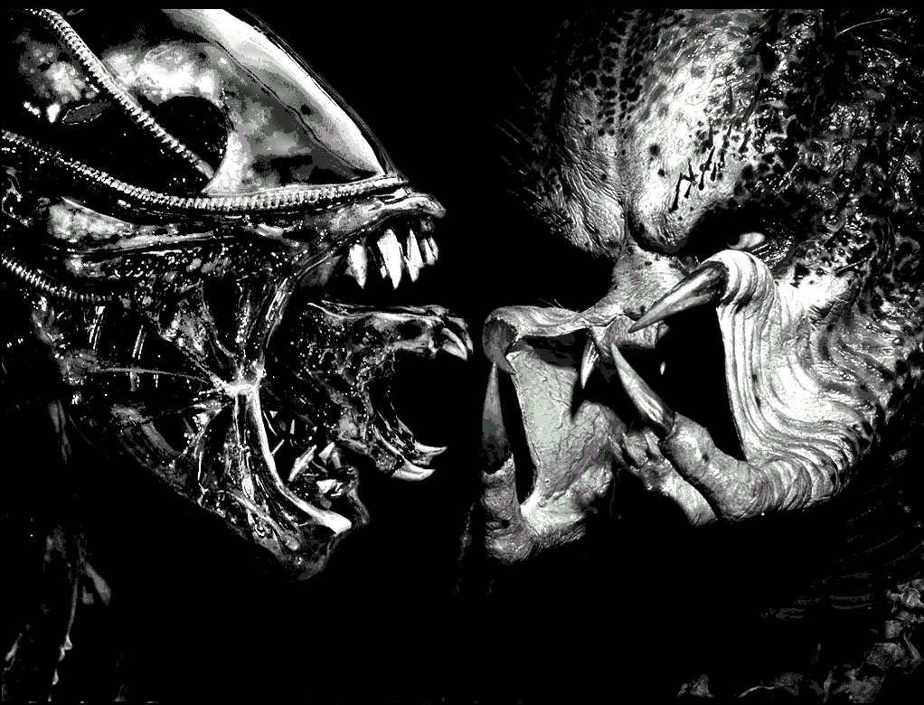 Alien Vs Predator - HD Wallpaper 