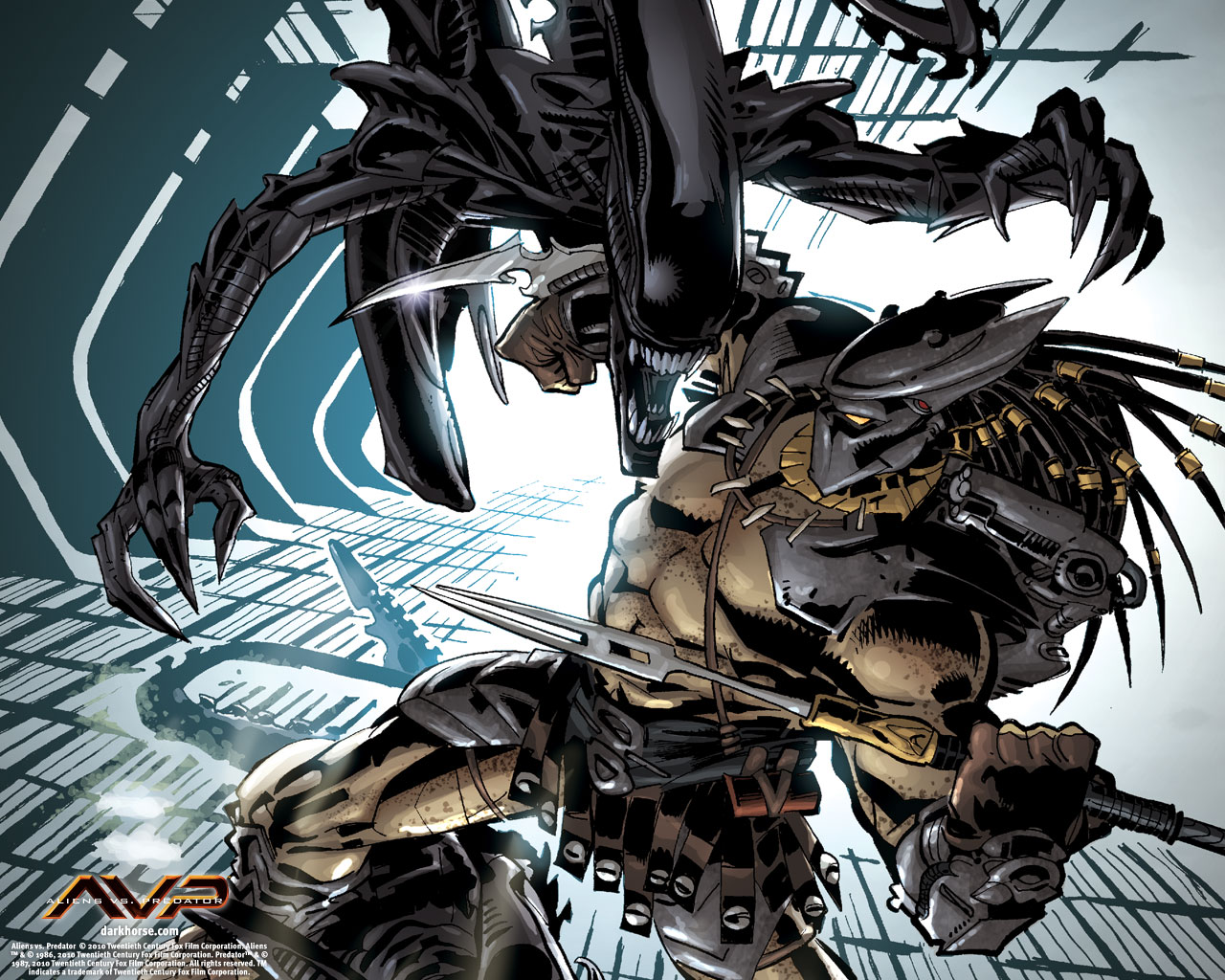 Alien Vs Predator Comic - HD Wallpaper 