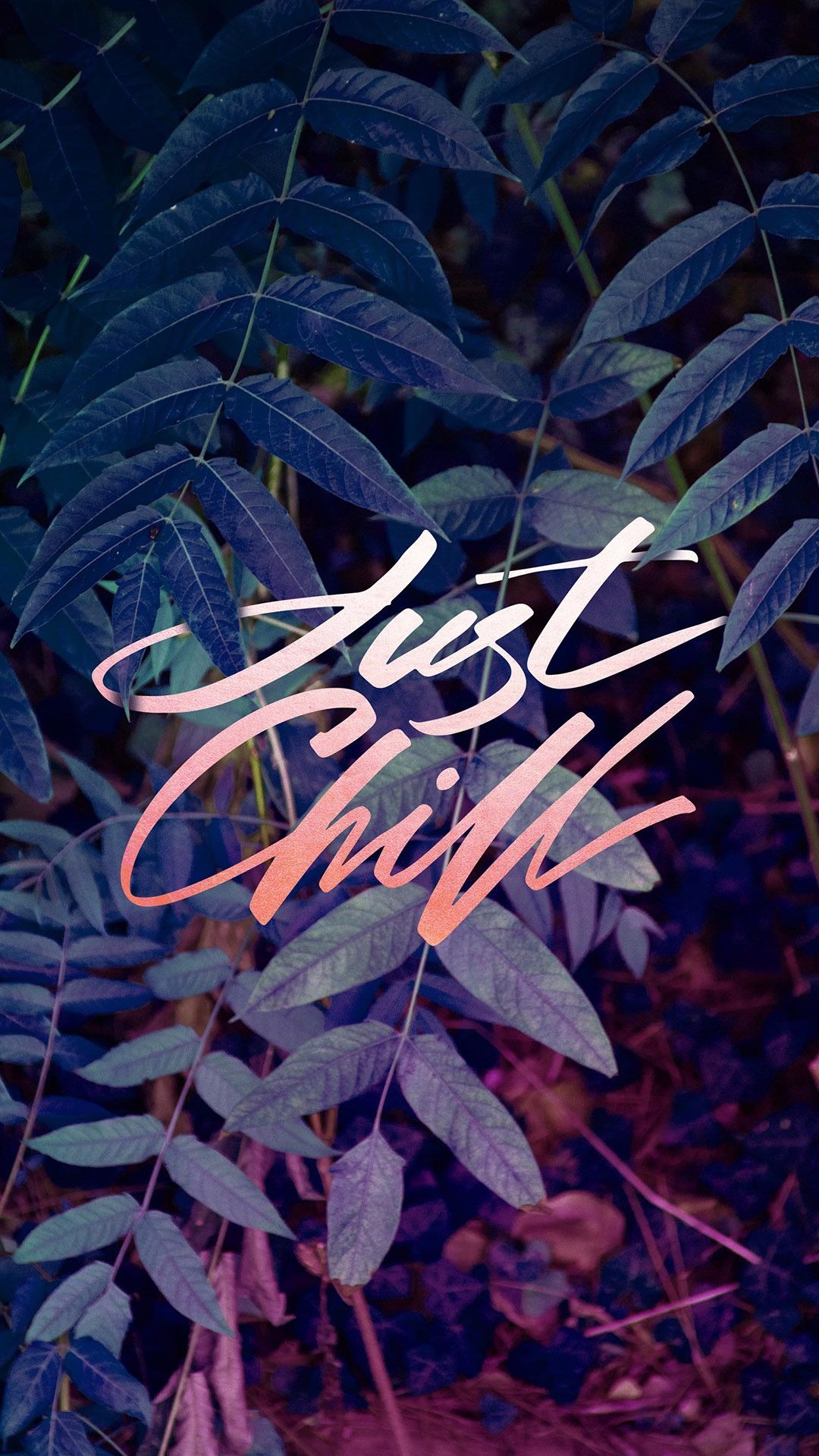 Just Chill - HD Wallpaper 