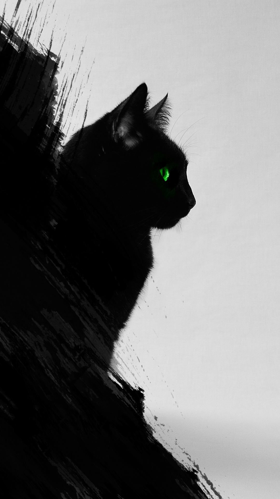 Black Cat Wallpaper - Black Cat Wallpaper Iphone - HD Wallpaper 