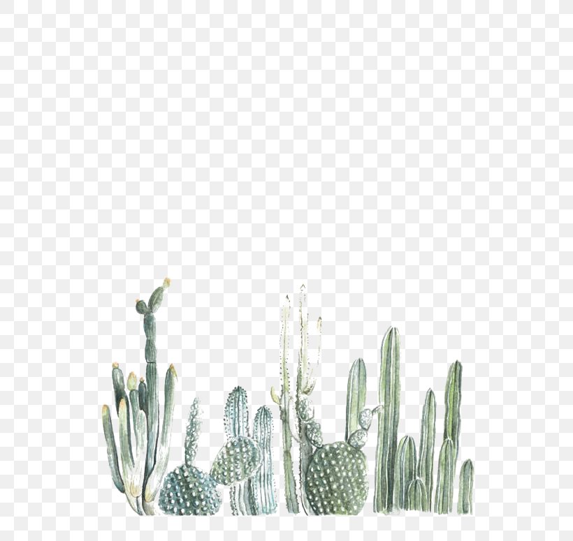 Cactaceae Cacti & Succulents Desktop Wallpaper Succulent - Watercolor Cactus - HD Wallpaper 