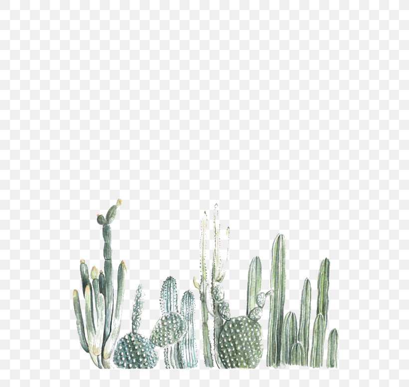 Cactaceae Cacti & Succulents Desktop Wallpaper Succulent - Watercolor Cactus - HD Wallpaper 