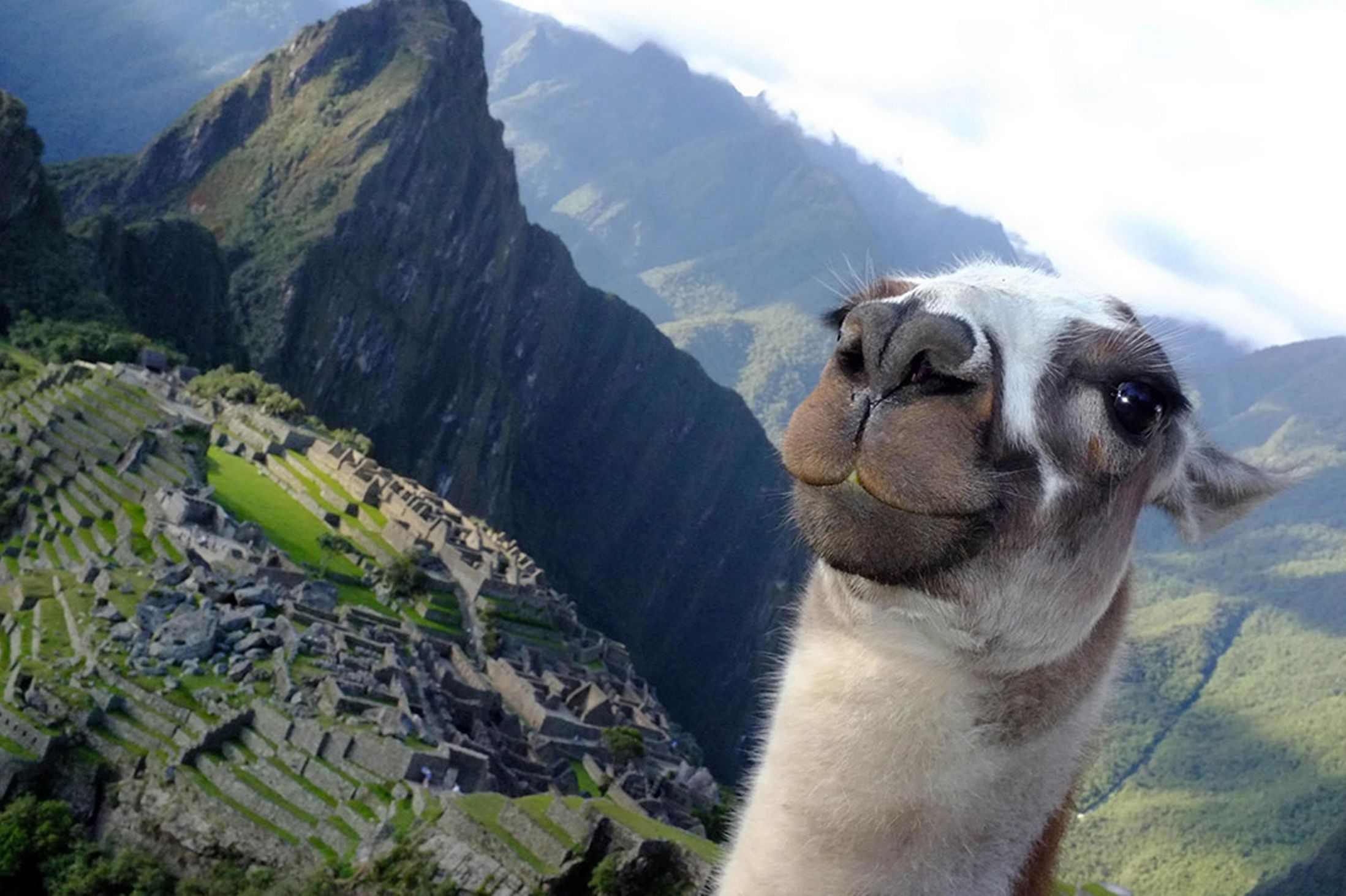 Machu Picchu - HD Wallpaper 