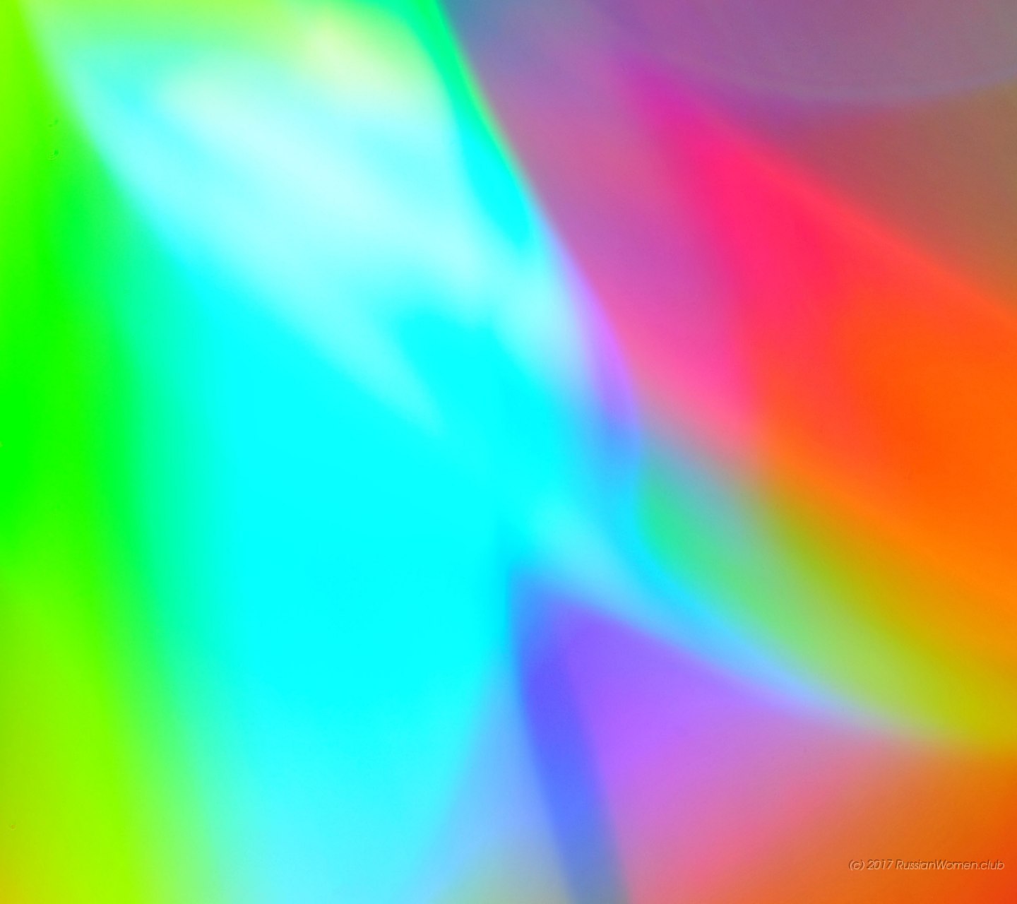 Lyf Mobile Wallpaper - Macro Photography - HD Wallpaper 