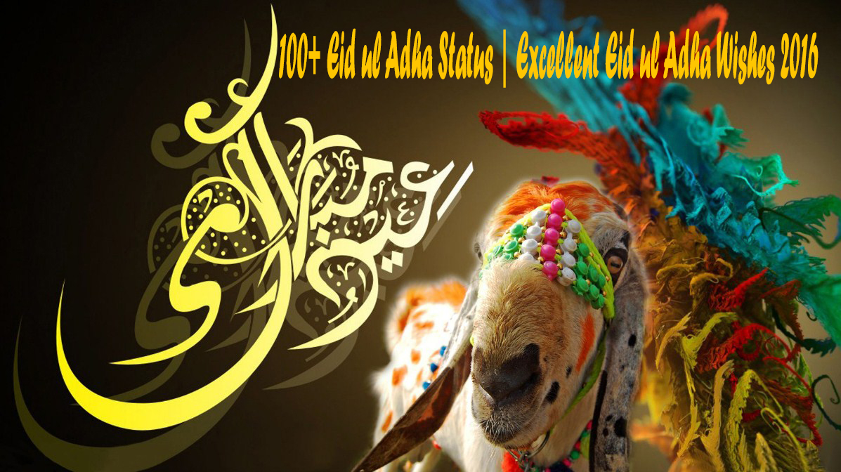 100 Eid Ul Adha Status Excellent Eid Ul Adha Wishes - Good Luck At University Messages - HD Wallpaper 