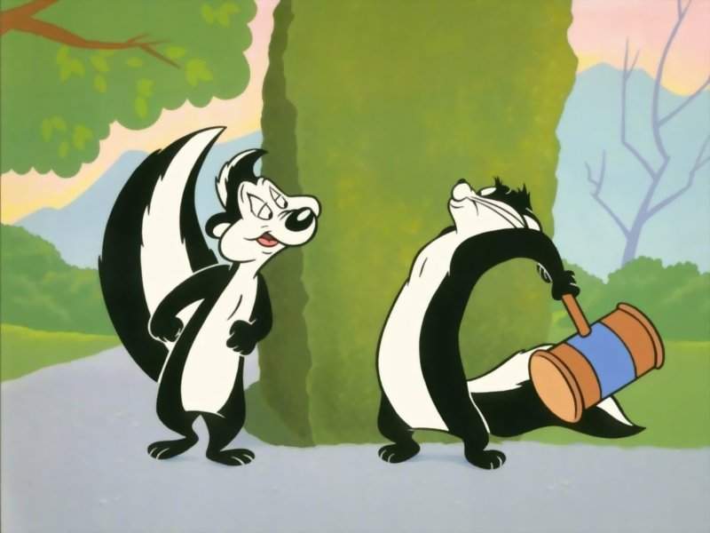 Pepé Le Pew - Pepe Le Pew Hit - HD Wallpaper 