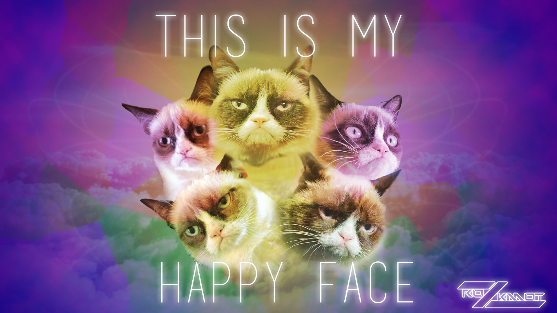 Grumpy Cat Desktop Background - HD Wallpaper 