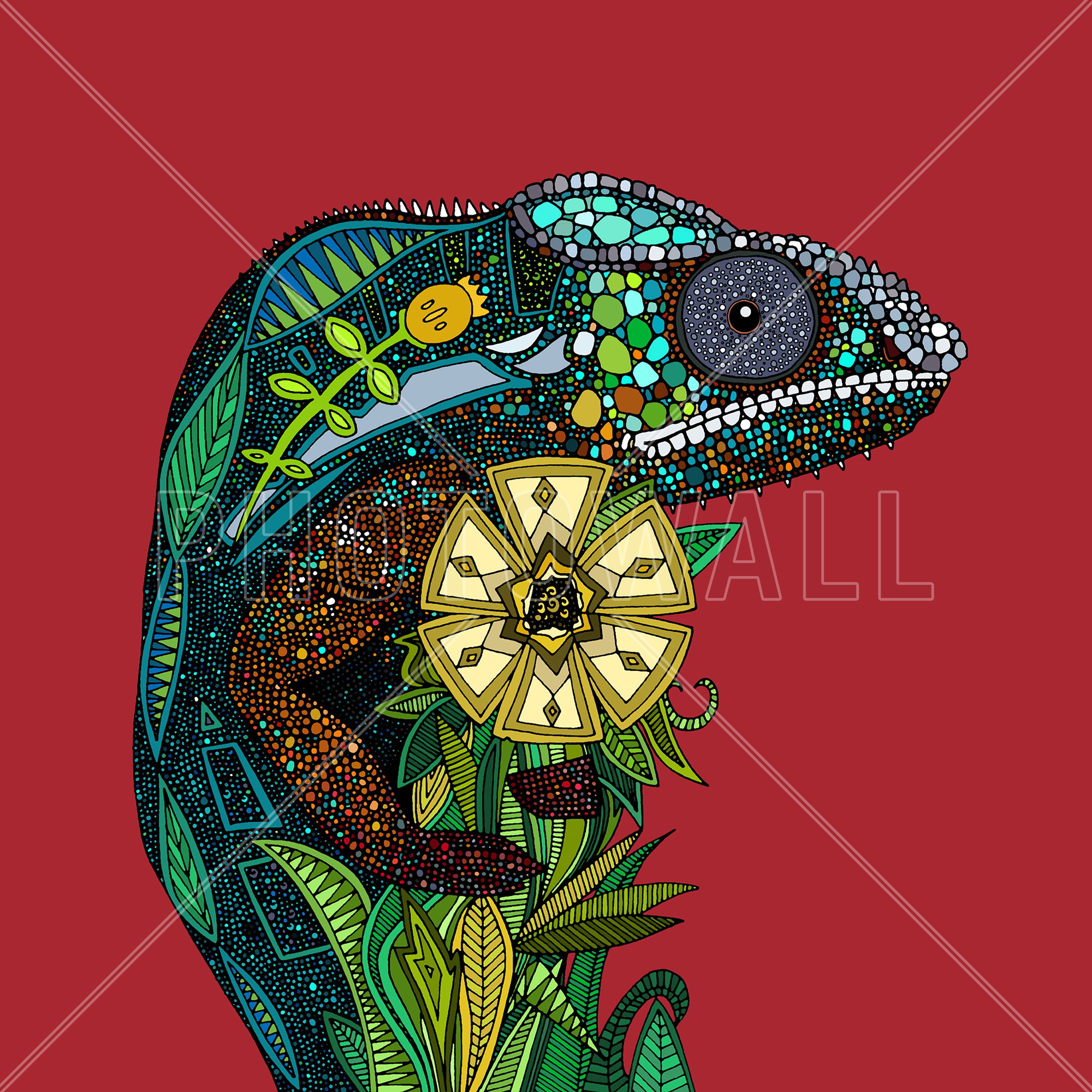 Chameleon - Wallpaper - Office - Chameleons - HD Wallpaper 
