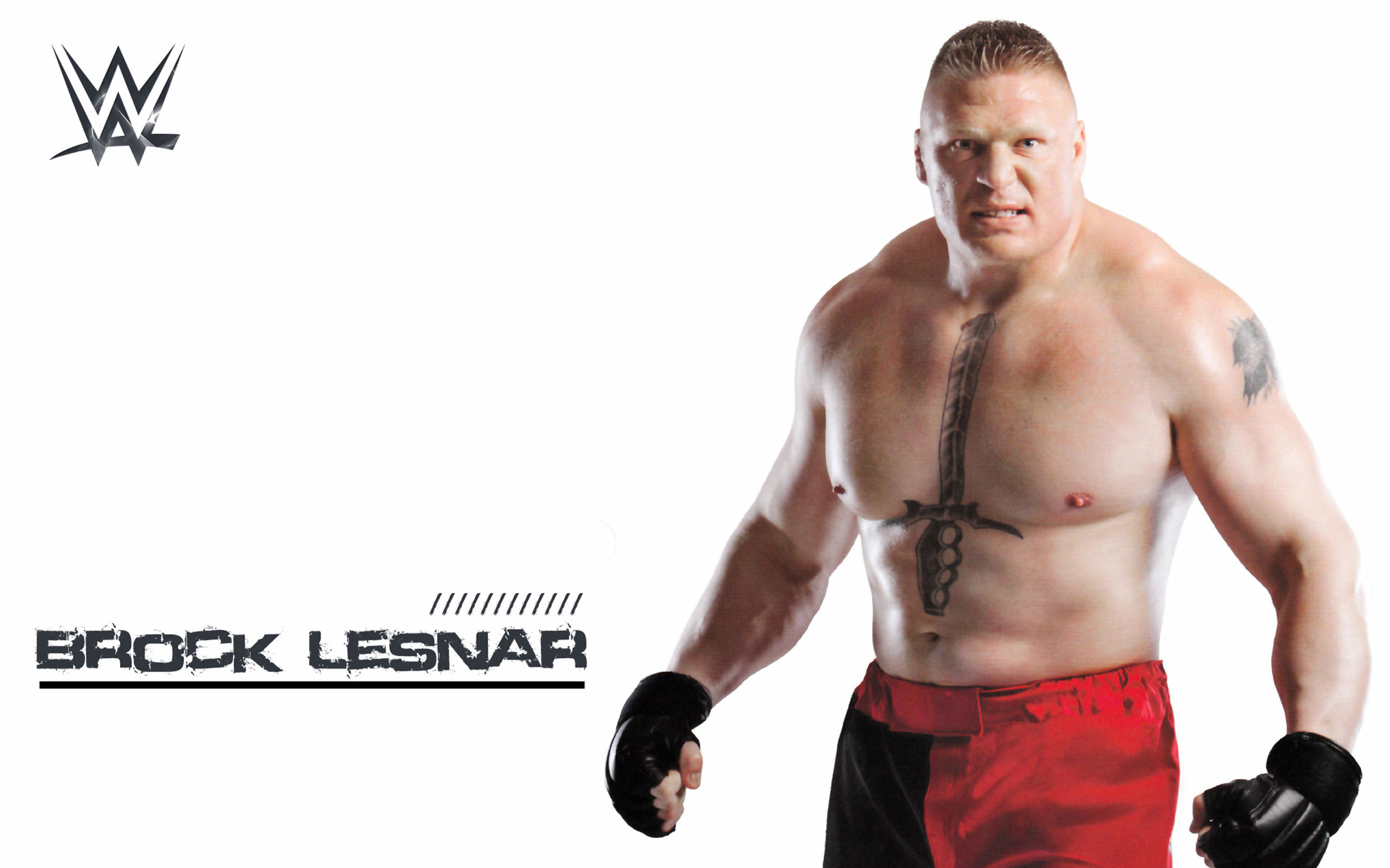 Wwe Brock Lesnar 2015 - HD Wallpaper 