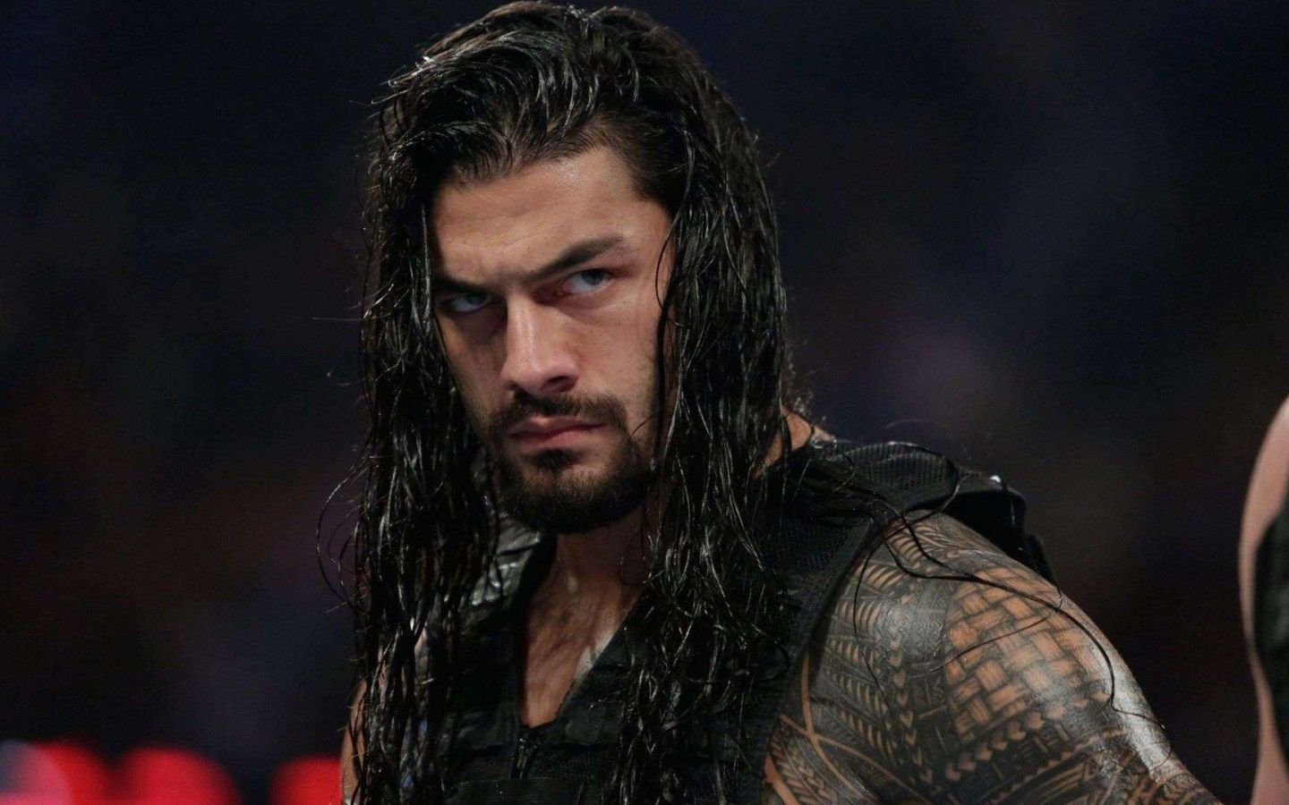 Big Dog Roman Reigns - HD Wallpaper 