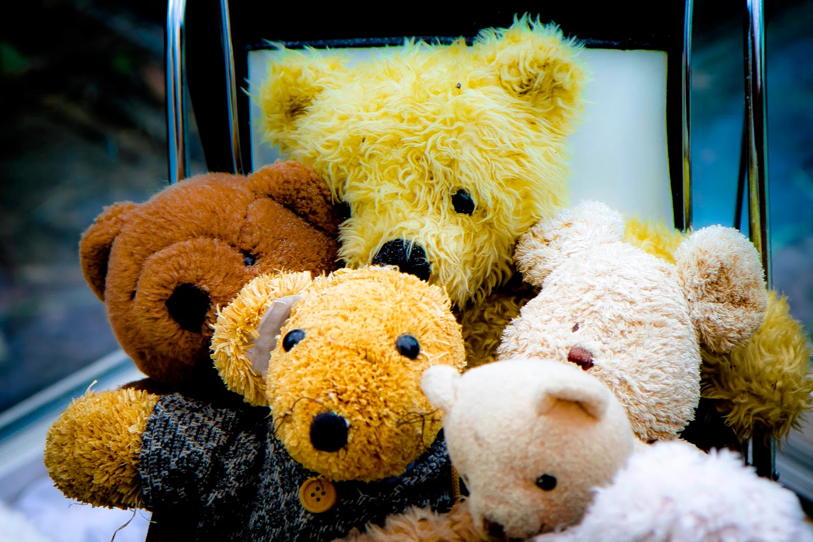 Cute Teddy Bear Wallpapers Wallpaper - Yellow Teddies For Boys - HD Wallpaper 