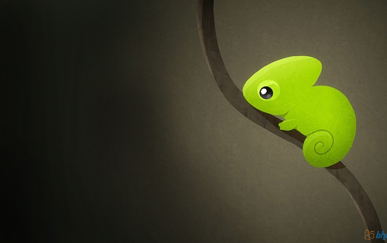 Cute Chameleon Wallpapers - Cute Chameleon - HD Wallpaper 