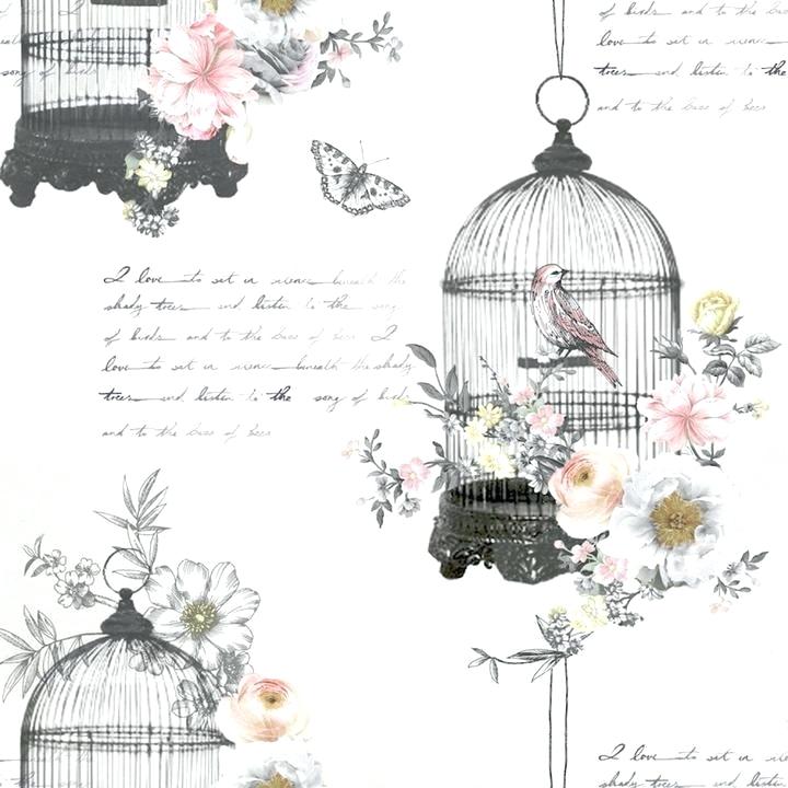 Bird And Butterfly Wallpaper Diamond Bird Cage Vintage - Vintage Birdcage - HD Wallpaper 