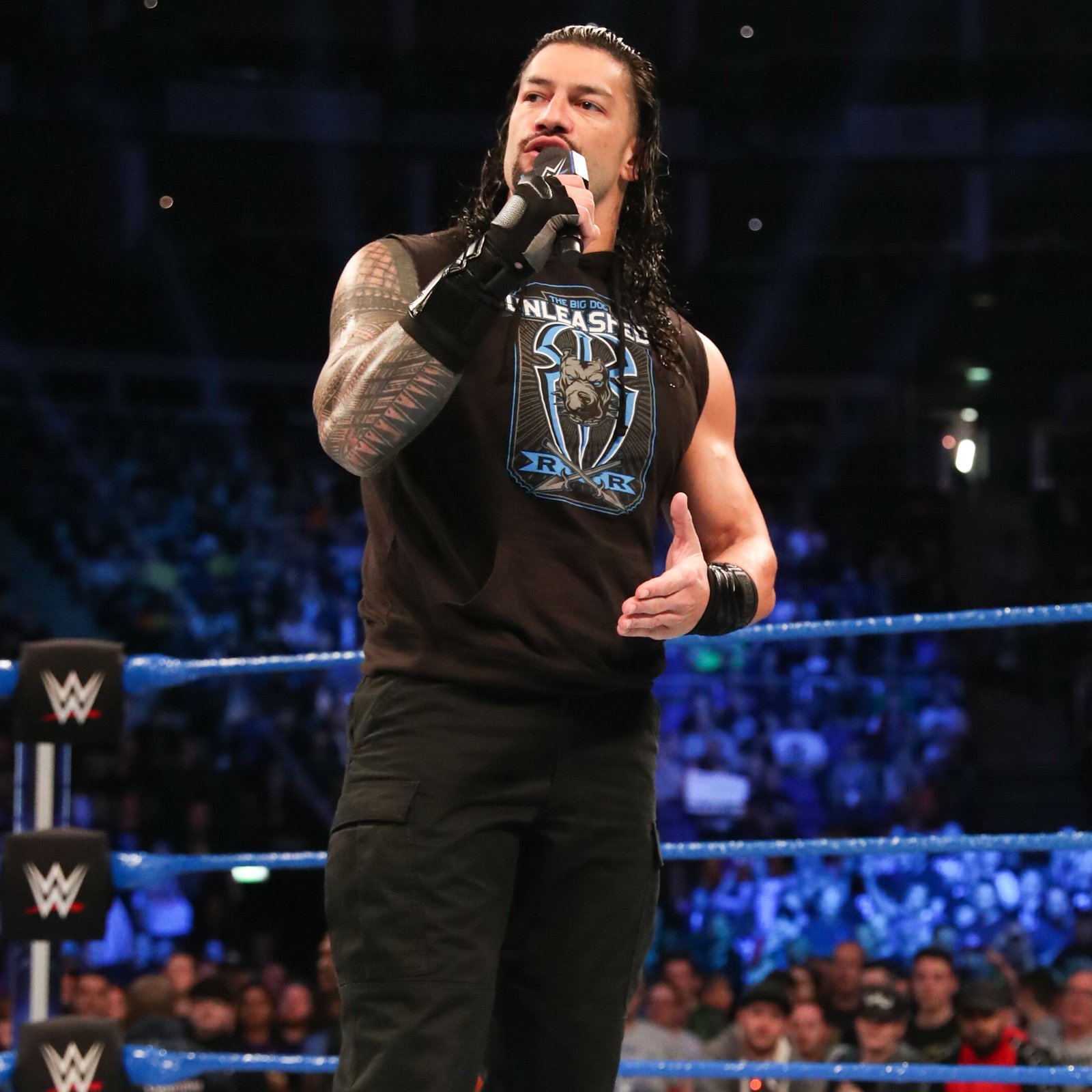 Roman Reigns Smackdown Live - HD Wallpaper 